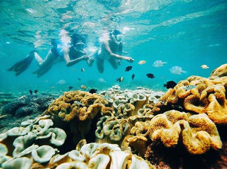 Tanjung Lesung Coral Conservation
