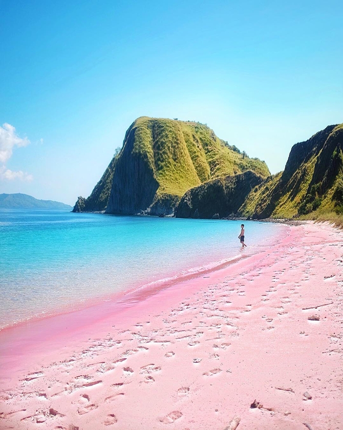  Pantai Merah  Muda Pink Beach IWareBatik